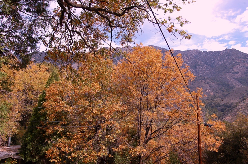 山区风光-秋 ...
