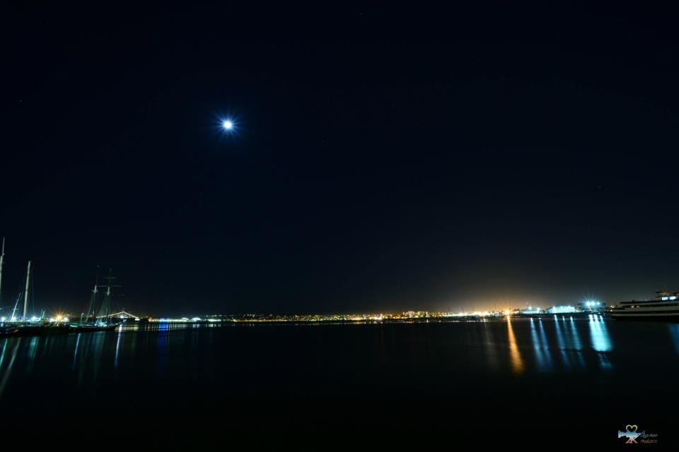 在聖地亞哥動物園拍的旅行照14