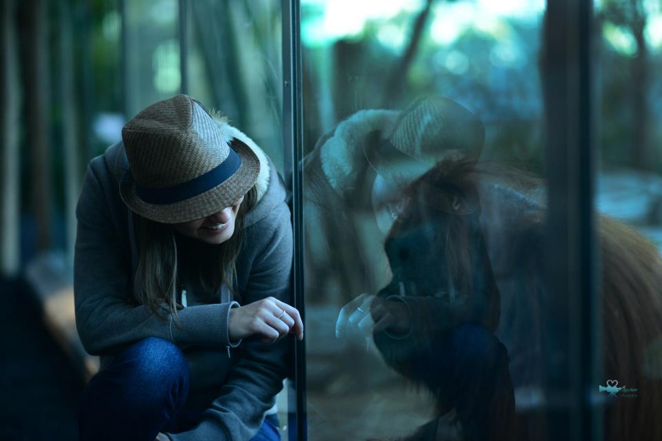 在聖地亞哥動物園拍的旅行照10