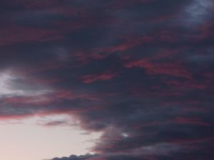 日子輕輕走過
在漂泊中求安定
是你和我,喜歡看雲
你是重山
你是花朵
你是無根的良辰美景
哪怕轉眼便消逝
能夠和你相邂逅
相知相惜己不錯
喜歡看雲!