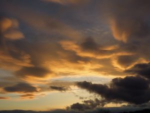 日子輕輕走過
在漂泊中求安定
是你和我,喜歡看雲
你是重山
你是花朵
你是無根的良辰美景
哪怕轉眼便消逝
能夠和你相邂逅
相知相惜己不錯
喜歡看雲!