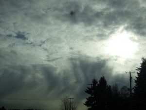 日子輕輕走過
在漂泊中求安定
是你和我,喜歡看雲
你是重山
你是花朵
你是無根的良辰美景
哪怕轉眼便消逝
能夠和你相邂逅
相知相惜己不錯
喜歡看雲!