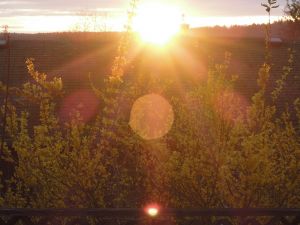 已經計算過
您登山觀日的時候
我這裡下午兩點多
企望太陽,帶來的消息
是我們心心相印的見証
有人說:故土情懷總是痴
我說:不痴白不痴
今生今世與您有約
有情,有義