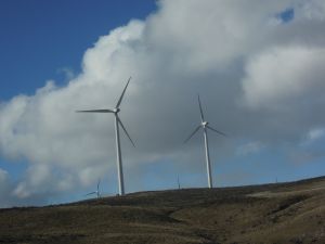 日子輕輕走過
在漂泊中求安定
是你和我,喜歡看雲
你是重山
你是花朵
你是無根的良辰美景
哪怕轉眼便消逝
能夠和你相邂逅
相知相惜己不錯
喜歡看雲!