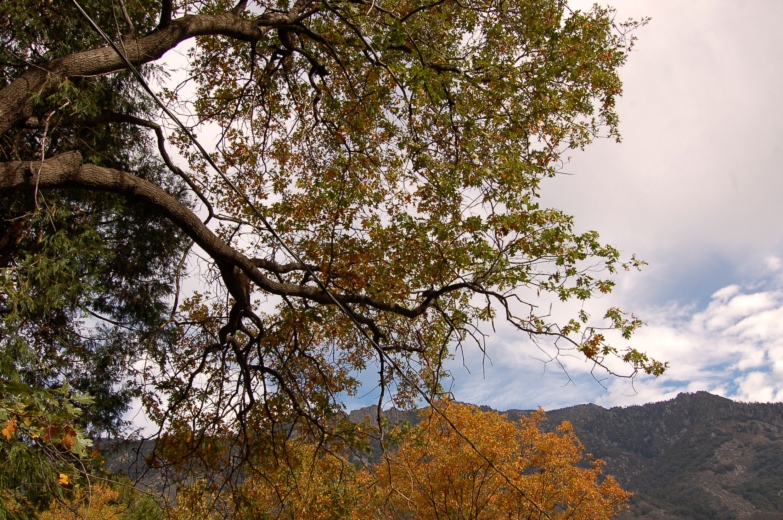 山区风光-秋 ...